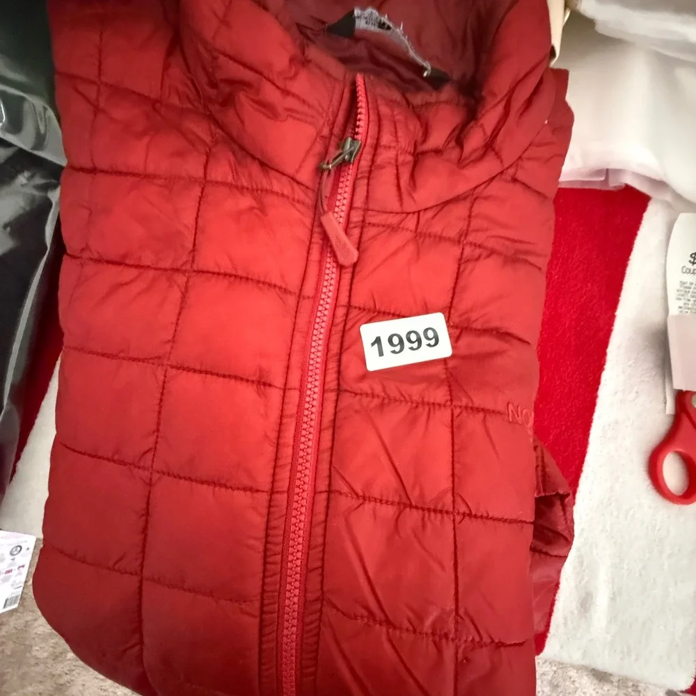 The North Face north face